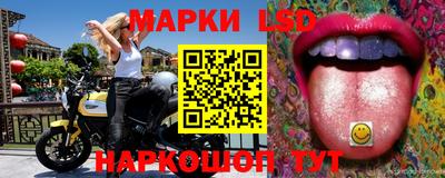 сатива Шебекино