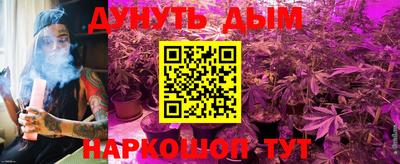 сатива Шебекино