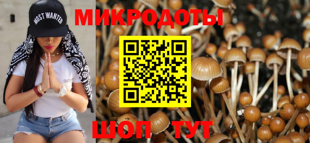 Псилоцибиновые грибы MAGIC MUSHROOMS Белебей